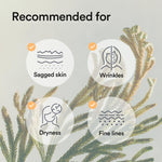 Authentic Abib Jericho Rose skincare products for deep hydration
