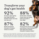 PetLab Co. dog digestive supplement chews displaying active ingredients and tribiotic blend.