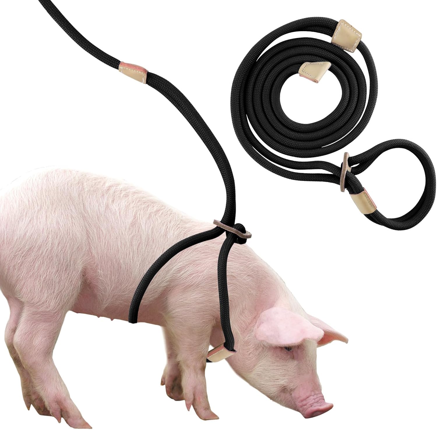 Jinkoozz mini pig harness and leash front view