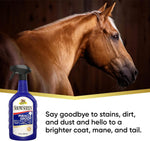 Absorbine five in one animal spray for horse coat cleaning