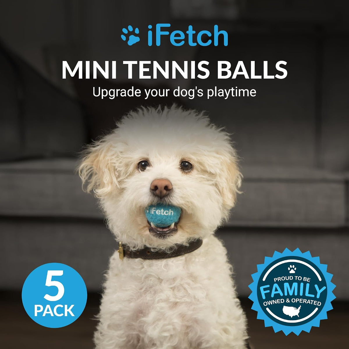 iFetch Mini Tennis Balls for Small and Medium Dogs, Toy Ball 5 Pack, Use with iFetch Automatic Launcher and iFetch Frenzy Brain Game, Blue, 1.5 Inch Diameter - Image 2