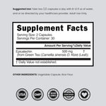 Dorado Nutrition 500mg epicatechin dosage information