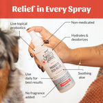 Skout's Honor natural allergen relief spray for multi pet households in India