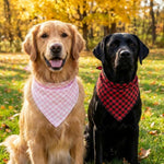 Soft breathable cotton linen pet handkerchief packaging details.
