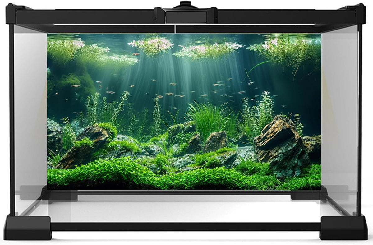 Riivvdise fish tank backdrop showcasing high definition aquatic plants and river bed stones.