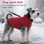 Asenku dog winter jacket showing elastic leg and bottom edges