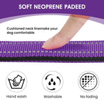 Durable zinc alloy D-ring on penseepet dog collar