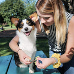 Coastal Safari small pet nail clipper stainless steel blades closeup