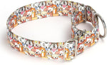 Close up of metal hardware on martingale dog collar