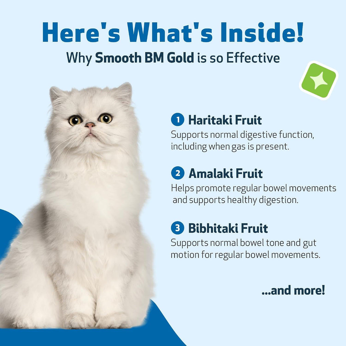Pet Wellbeing bacon flavored digestive support liquid for felines
