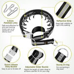 Mayerzon training collar with alloy buckle detail
