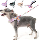 BEAUTYZOO Dog Harness for Small Dogs, No Pull Dog Harness and Leash Set, Soft Escape Proof Puppy Vest Harness with Handle, Reflective Lightweight Step in Harness for Girl Boy Dogs, Beige XS - Image 13