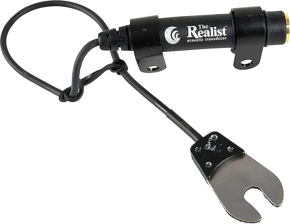 Realist Orchestral String Instrument Part (RLSTLL1) - Image 1