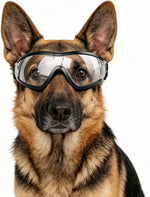 NAMSAN large dog goggles front view with clear lenses