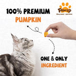 PAWUP Freeze Dried Pumpkin Treats for Dogs & Cats - Single Ingredient High Fiber Dog Food Topper for Digestion & Gut Health, Natural Pet Snacks for Sensitive Stomachs, 1.58 oz - Image 2
