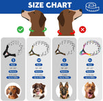 Professional Supet pinch collar for leash training