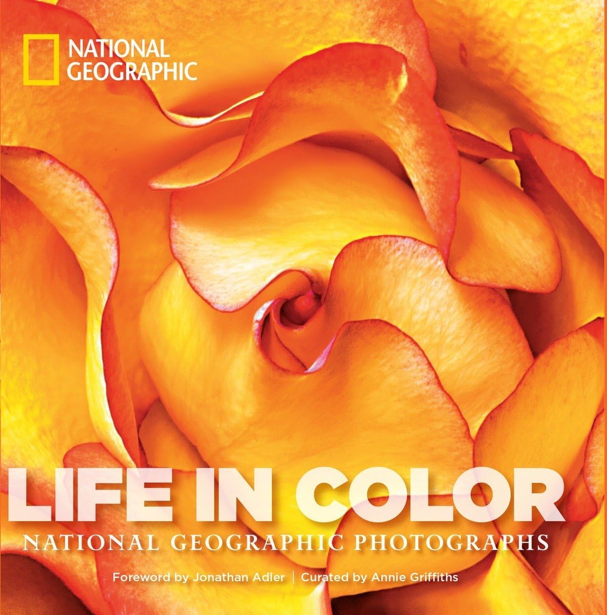 Life in Color: National Geographic Photographs (National Geographic Collectors Series) - Image 1