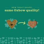 Natural small pet reward biscuits without added sugar