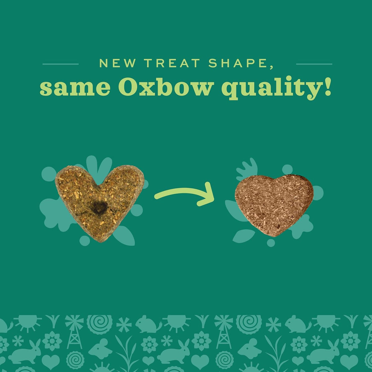 Natural small pet reward biscuits without added sugar