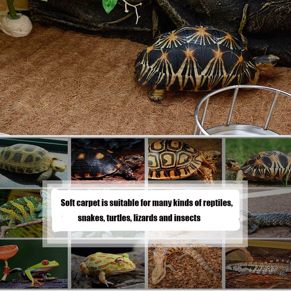 Hamiledyi odor controlling organic coir bedding for bearded dragon