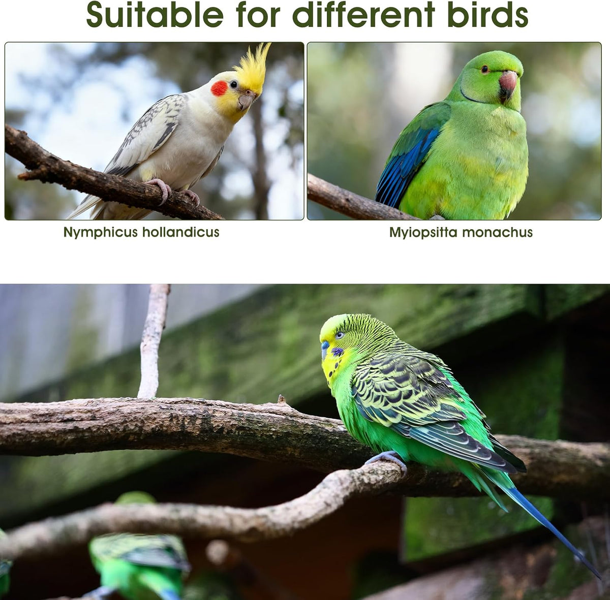 Pack of four cute pet bird costumes for small and medium birds