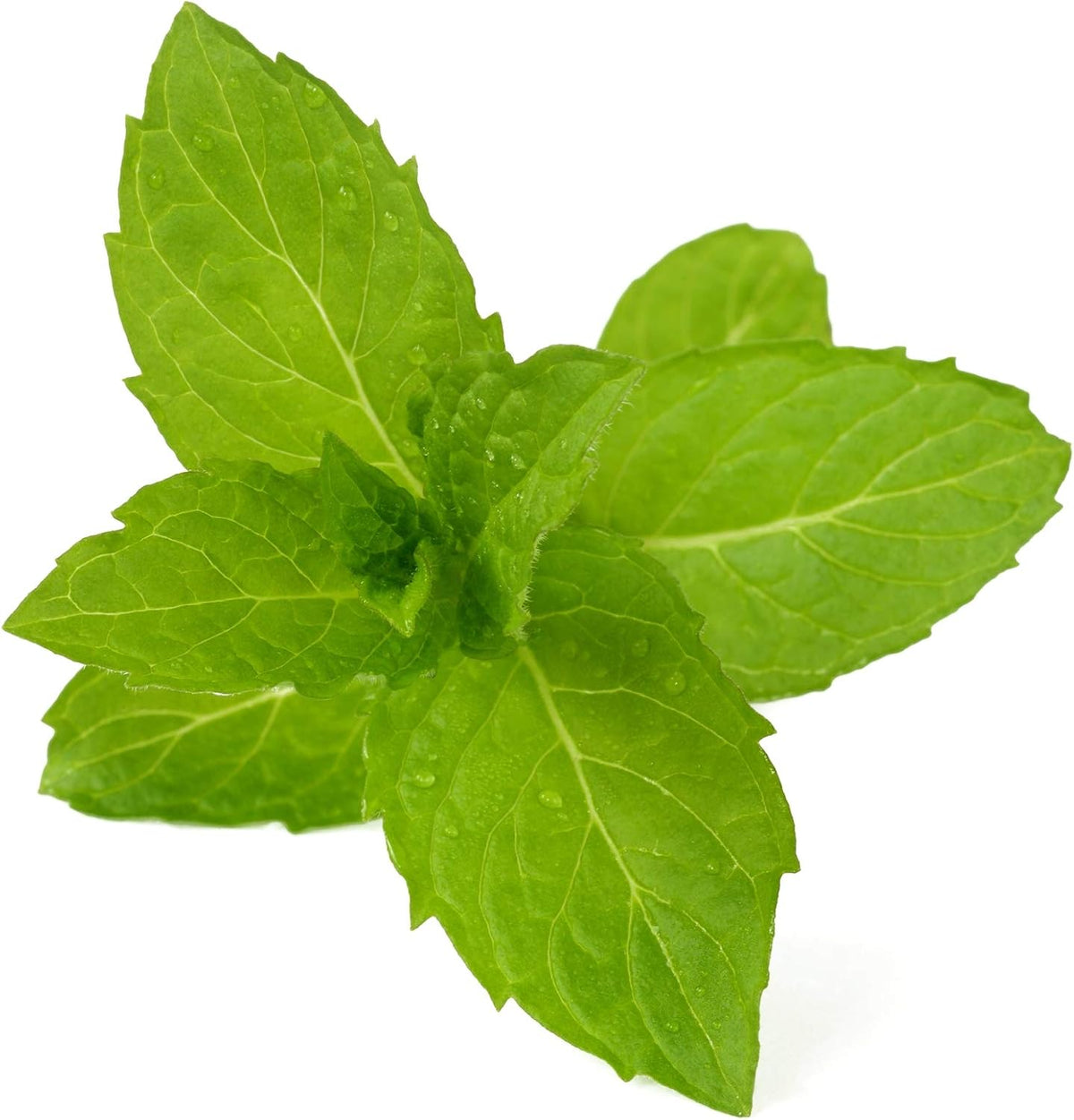 Burt's Bees Cucumber Mint lip balm cap removed