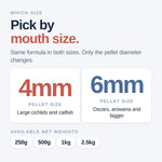 Northfin jumbo fish food container with pellet size indicator