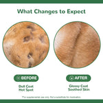 Back label of Vetriuntrix dog allergy supplement with details on probiotics colostrum and omega three.