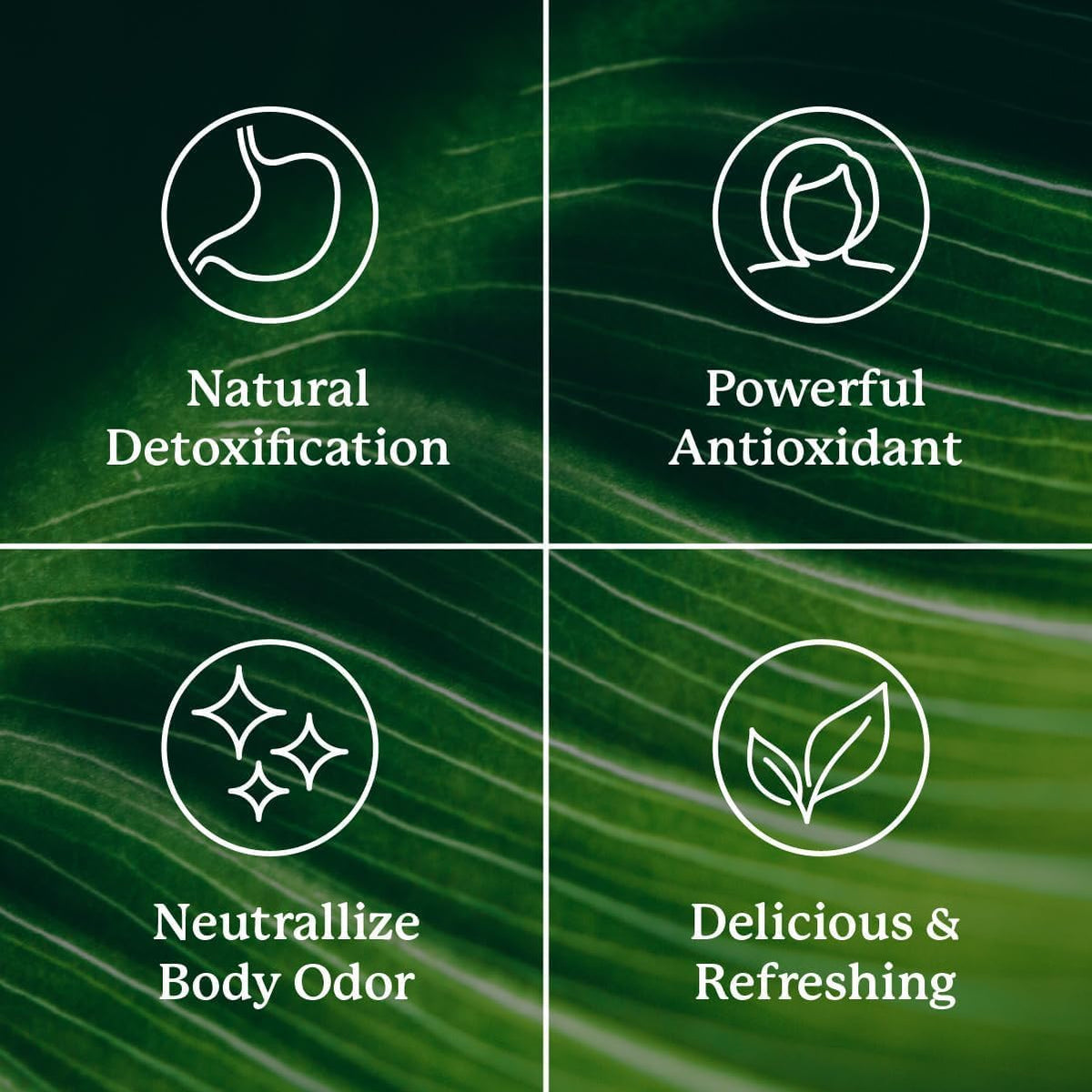 Nature's Sunshine chlorophyll detox supplement stick packs close up