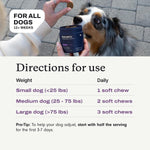 Authentic PetLab Co. dog digestive health soft chews 60 count bundle.