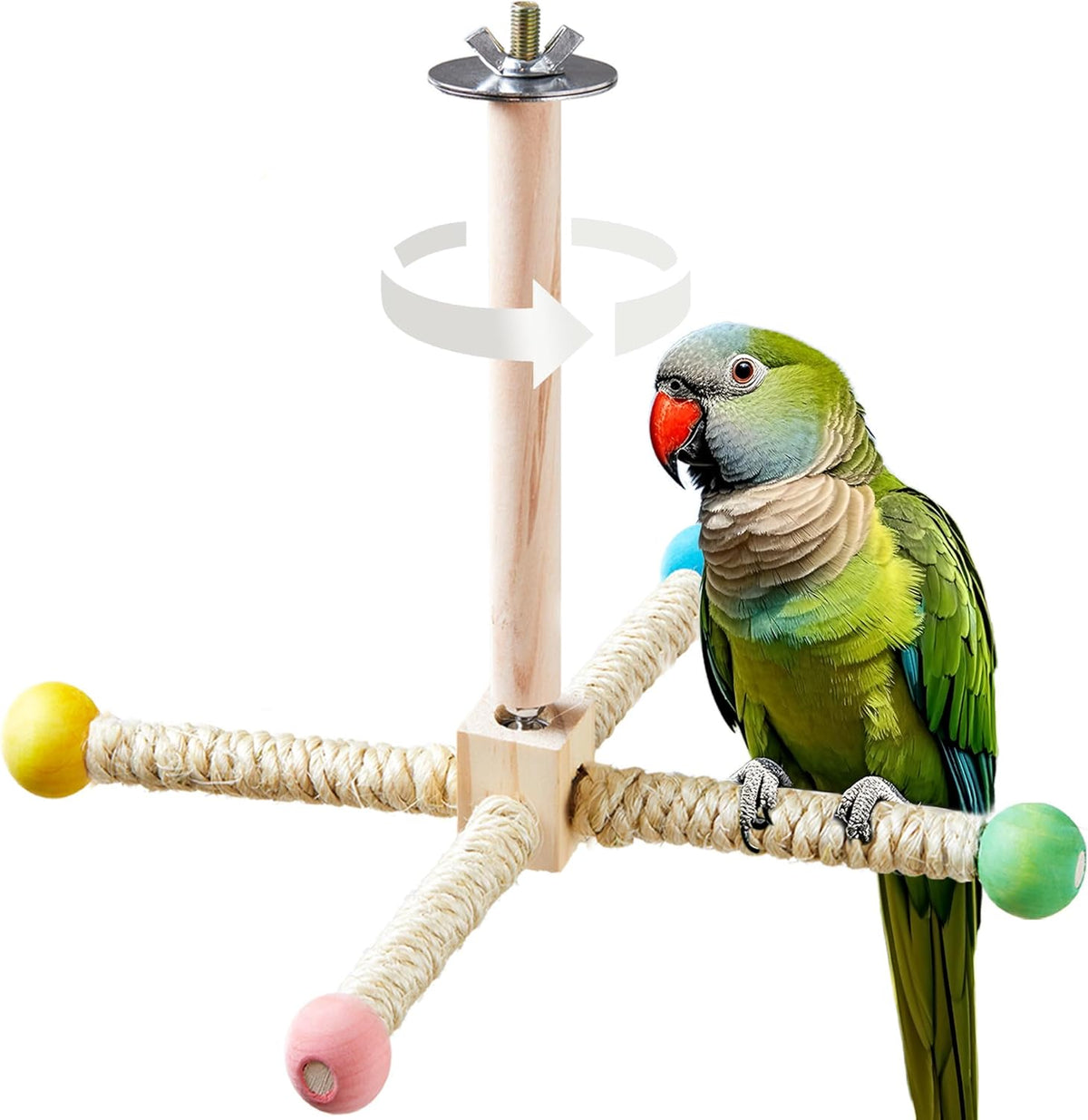 Dimensions and setup diagram for the small interactive spinning parakeet exercise wheel toy
