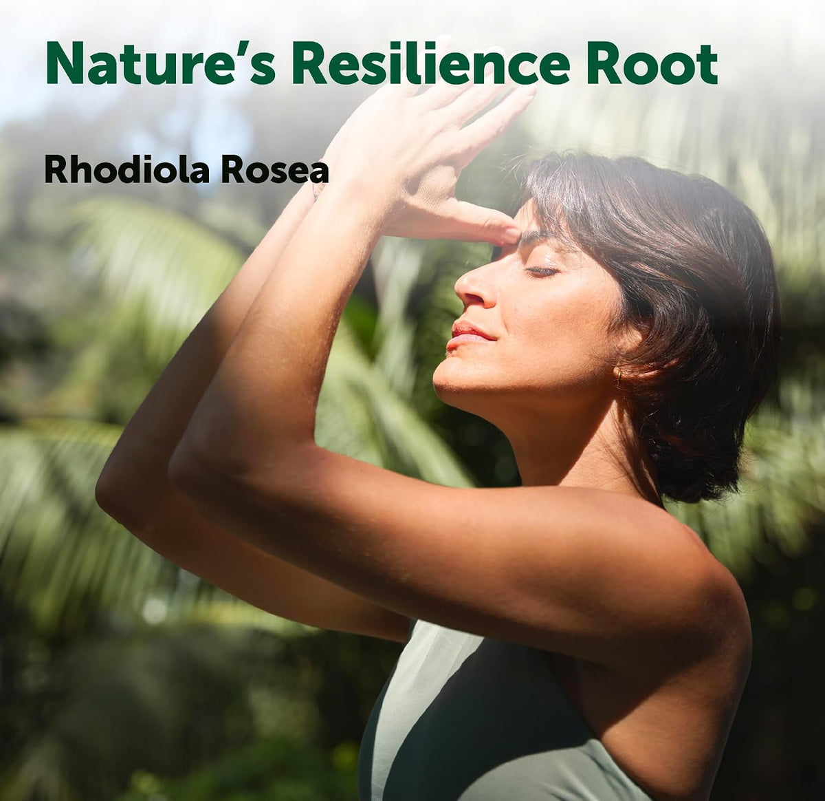 Micro Ingredients Rhodiola Rosea herbal blend ingredients overview