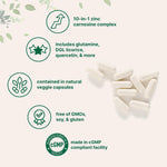 Micro Ingredients zinc carnosine ingredient breakdown graphic