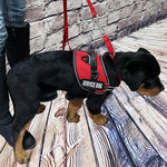 ActiveDogs working dog vest displayed flat on surface.