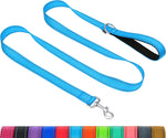Taglory imported high visibility reflective pet leash lifestyle close up