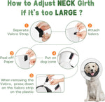 Joypig dog cone alternative side profile for pet comfort
