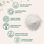 Hydrolyzed peptide powder mixing smoothly into morning coffee