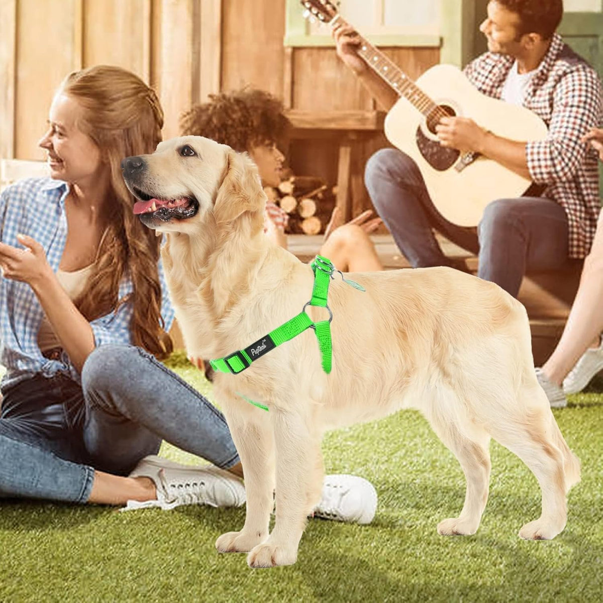 PUPTECK dog walking harness laid flat showing high density webbing