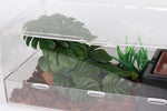 Woledoe terrarium plant showing weighted rock-shaped base