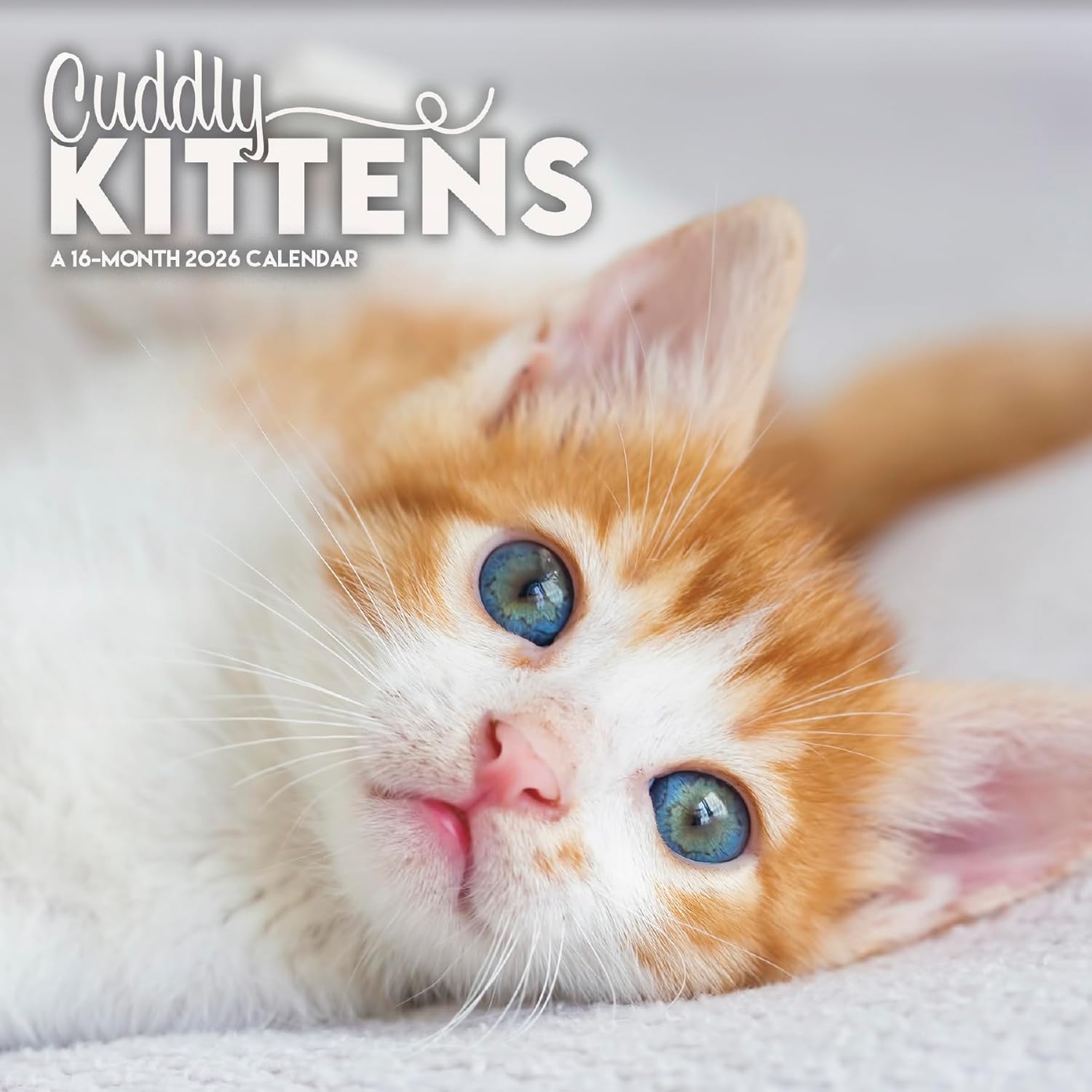 2026 Cuddly Kittens Mini Wall Calendar - Image 1