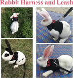 ASOCEA adjustable harness laid flat to highlight the neck and chest sizing straps.