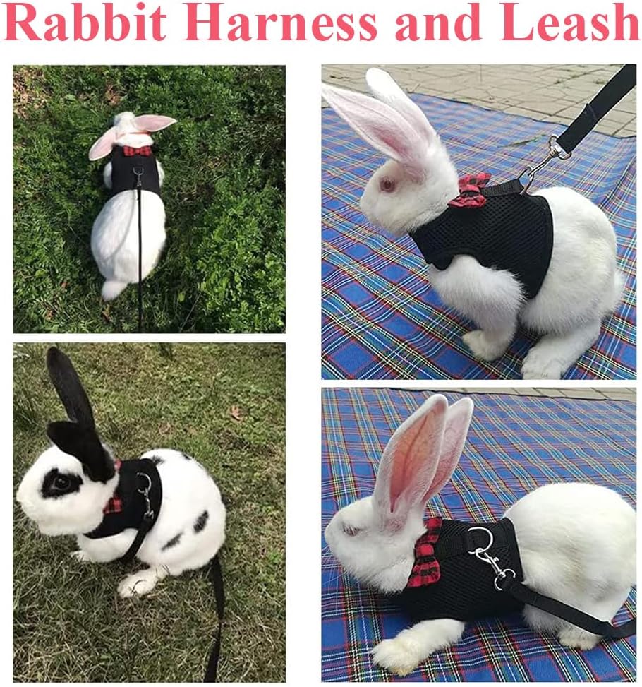 ASOCEA adjustable harness laid flat to highlight the neck and chest sizing straps.