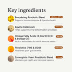 PetLab Co. canine gut health and immune support chewable supplements.