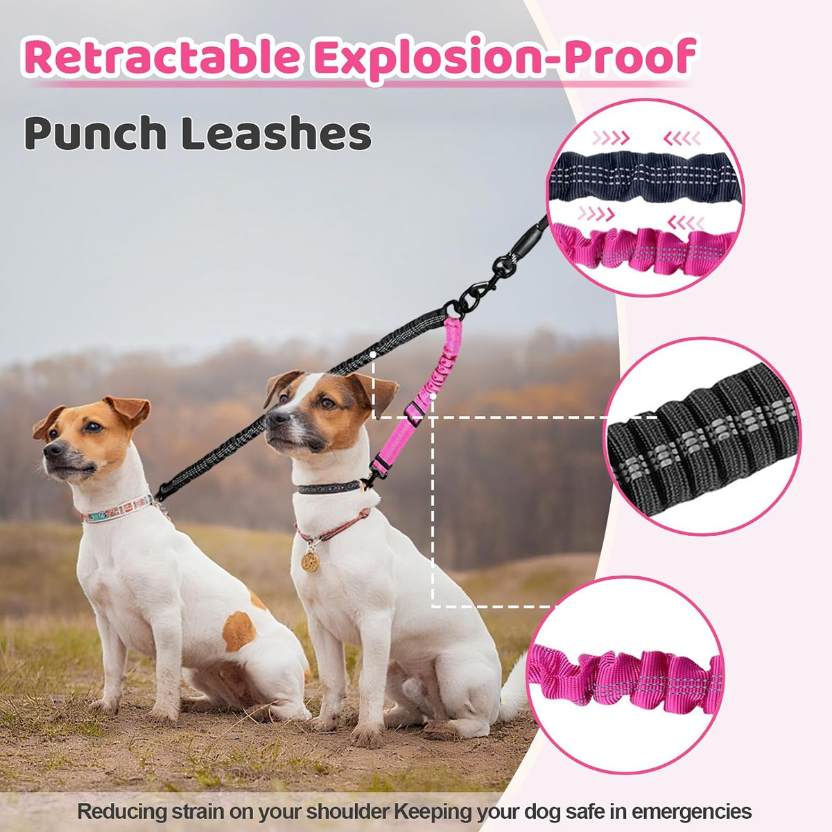 Night safety reflective stitching on fuchsia double dog lead attachment.