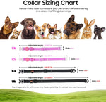 Pawpawsen pet camera accessories including lanyard and card reader