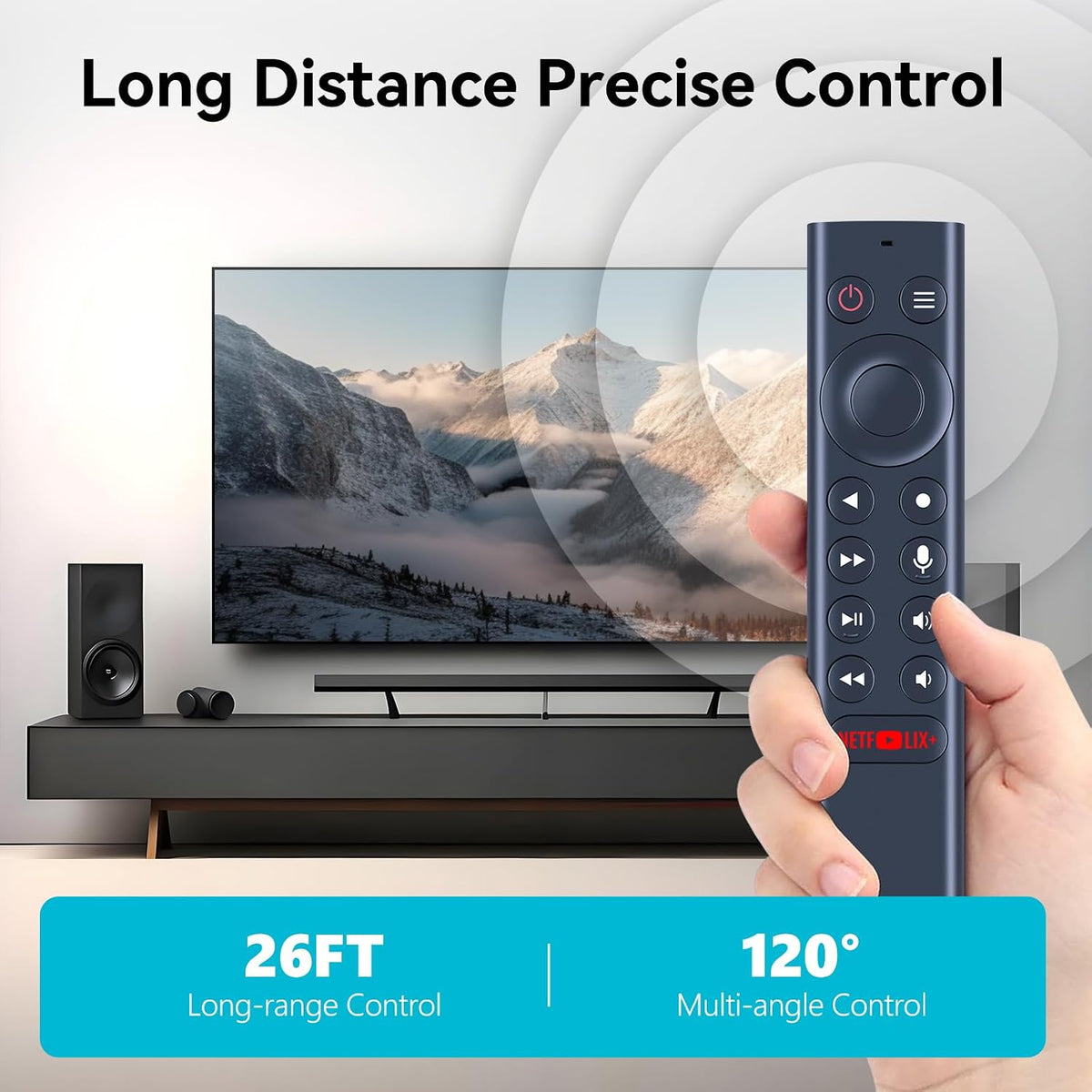ZWP remote control battery compartment view