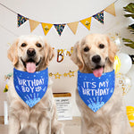 Large dog wearing Agroon blue birthday boy bandana