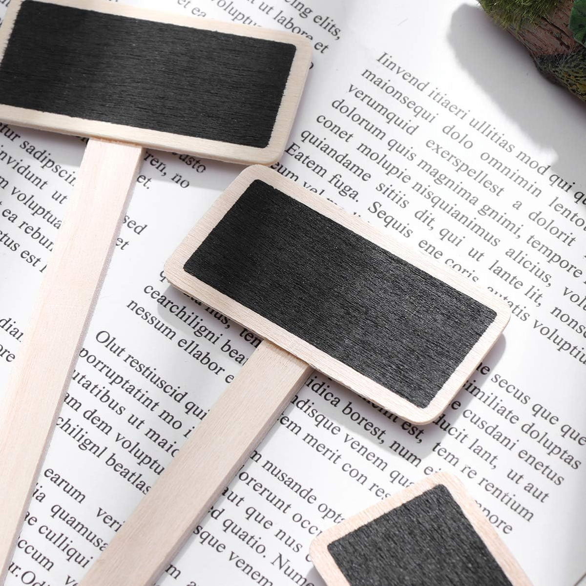 Exceart wooden plant markers displayed in a garden pot
