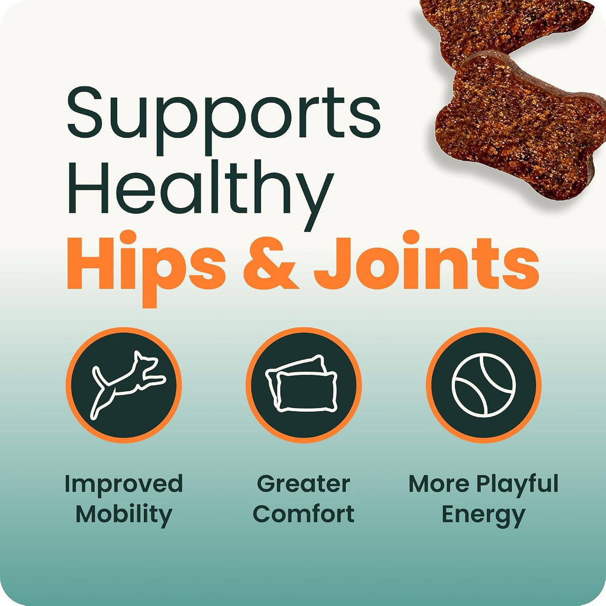 Back label of VetriScience Extra Strength dog supplement showing active ingredients