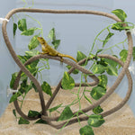 Coolrunner 8FT reptile vines and flexible leaves set front view